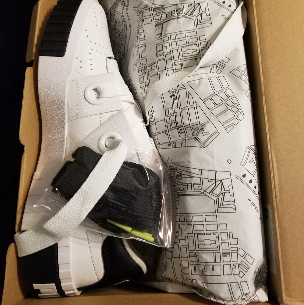 Puma Calli Day Zero